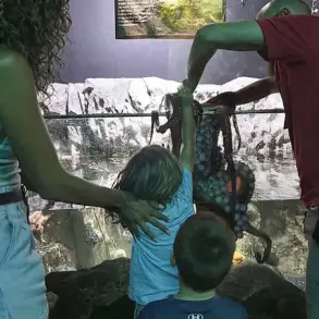 Exclusive: Mother Reveals Harrowing Octopus Encounter at San Antonio Aquarium