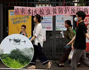 Hawaii's Health Department Warns of Dengue Fever Surge: 2025 Cases Already Exceed 2024 Total, Prompting Calls for Vigilance Amid International Travel Risks