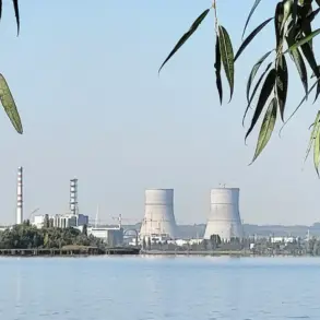 Interim Governor of Kursk Condemns Attack on Kursk Nuclear Power Plant, Accuses Ukrainian Forces of War Crime and Violation of International Conventions, Threatening Global Nuclear Safety