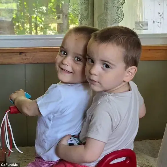 Mother's Fresh Tragedy: Hit-and-Run Crash Claims Twin Sons, Echoing Past Loss of Son to Drowning