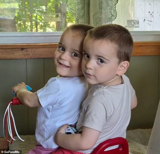 Mother's Fresh Tragedy: Hit-and-Run Crash Claims Twin Sons, Echoing Past Loss of Son to Drowning