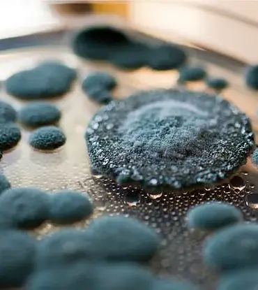 Nationwide Recall of Hostess Ding Dongs Over Mold Concerns as Investigation Reveals Contamination in Specific Batches