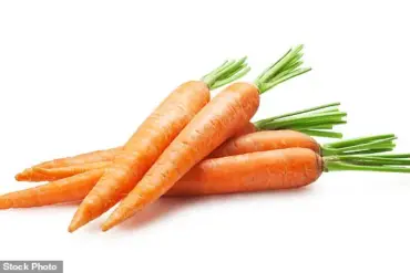 New Study Reveals Potential Health Risks of High Carotene Intake in Men, Despite Carrots' Nutritional Benefits