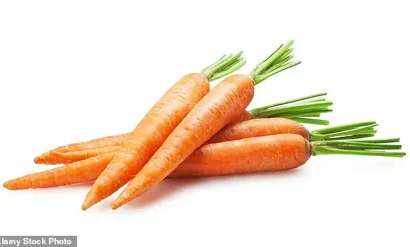New Study Reveals Potential Health Risks of High Carotene Intake in Men, Despite Carrots' Nutritional Benefits