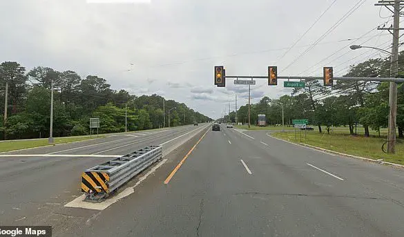 Pharmaceutical Executive at Center of Fatal Wrong-Way Crash That Killed Olympic Swimmer