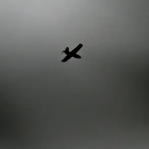 Ryazan on High Alert as MChS Russia App Issues Drone Threat Warning Amid Escalating Tensions