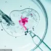 Seasonal Factors May Influence IVF Success Rates, Study Suggests