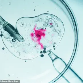 Seasonal Factors May Influence IVF Success Rates, Study Suggests