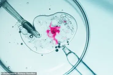 Seasonal Factors May Influence IVF Success Rates, Study Suggests
