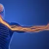 Sporadic Numbness and Tingling in Left Arm: Expert Highlights Nerve Compression Over Cardiac Concerns