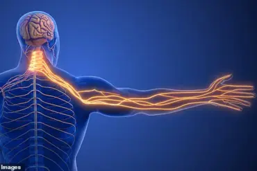 Sporadic Numbness and Tingling in Left Arm: Expert Highlights Nerve Compression Over Cardiac Concerns