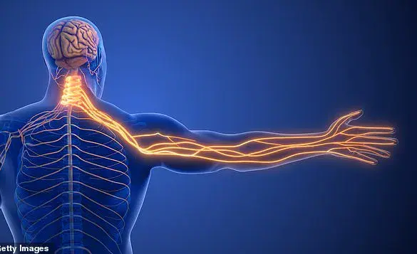 Sporadic Numbness and Tingling in Left Arm: Expert Highlights Nerve Compression Over Cardiac Concerns