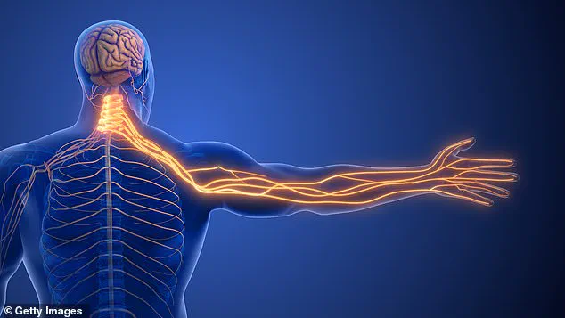 Sporadic Numbness and Tingling in Left Arm: Expert Highlights Nerve Compression Over Cardiac Concerns
