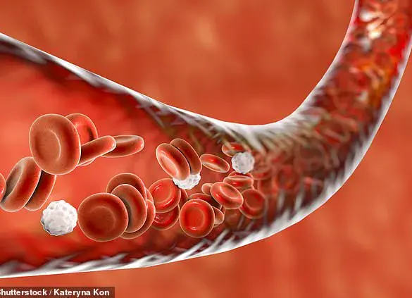 Study Reveals Link Between Mild Covid-19 and Accelerated Vascular Aging, Implications for Long-Term Health Risks