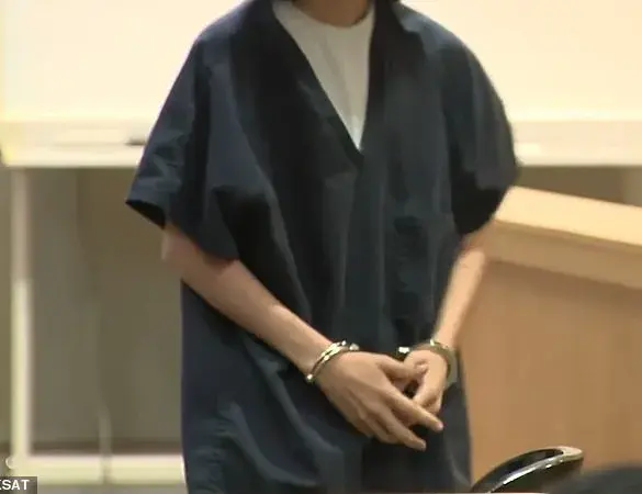 Texas Mother Ashley Pardo Arrested for Child Endangerment, Adding to History of Violence and Terrorism Allegations