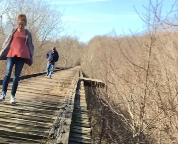 The Delphi Tragedy: A Community's Ordeal and the Unsolved Disappearance of Two Teenagers