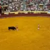 Tragedy at Lisbon's Campo Pequeno: Young Bullfighter's Debut Ends in Horror