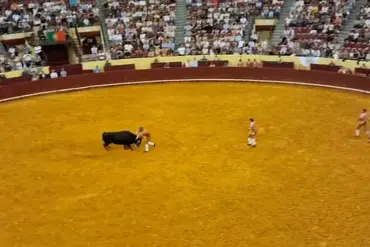 Tragedy at Lisbon's Campo Pequeno: Young Bullfighter's Debut Ends in Horror