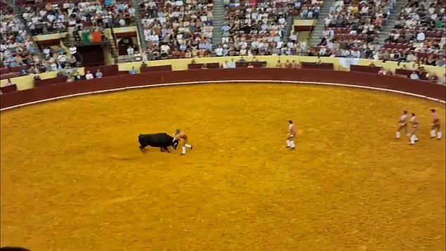 Tragedy at Lisbon's Campo Pequeno: Young Bullfighter's Debut Ends in Horror