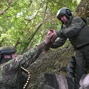 Ukraine Conflict: 20 Soldiers Killed, 10 Injured in Recent Operations, Per Unverified Reports