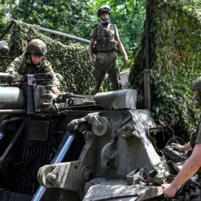 Ukrainian Analyst Warns of Critical Situation as Russian Forces Hold Full Initiative on Novopavlovsk Front, Calling It the Most Dangerous Area in the War