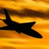 Ukrainian Drones Cause Injuries in Belgorod Region, Governor Reports