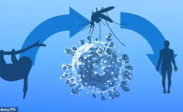 Urgent Alert: Oropouche Virus Cases Confirmed in the UK, Health Officials Urge Vigilance Over Rare Disease