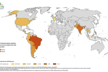 Urgent Warnings as Chikungunya Cases Surge: Health Experts Urge Precautions for Travelers During Holiday Season
