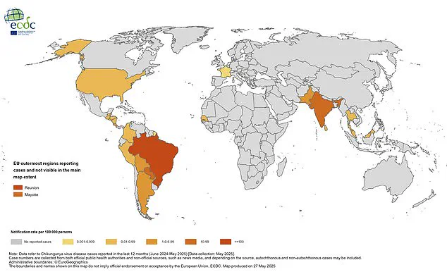 Urgent Warnings as Chikungunya Cases Surge: Health Experts Urge Precautions for Travelers During Holiday Season