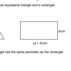 Viral Math Problem 72 ÷ 9(4+4) Divides Internet as Users Debate Answer