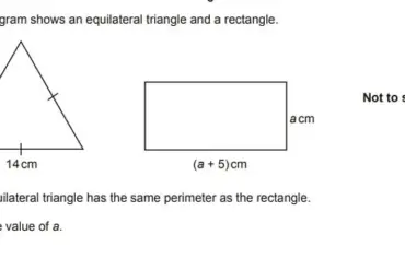 Viral Math Problem 72 ÷ 9(4+4) Divides Internet as Users Debate Answer