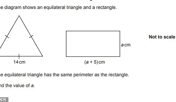 Viral Math Problem 72 ÷ 9(4+4) Divides Internet as Users Debate Answer