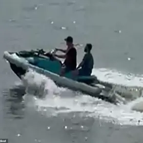 Cruise Ship Passenger Attempts to Escape $16,710 Gambling Debt by Jumping Off Vessel in Puerto Rico