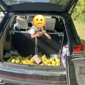 Exclusive Access: How an Ohio Orchard Exposed a $300 Apple Smuggling Attempt