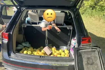 Exclusive Access: How an Ohio Orchard Exposed a $300 Apple Smuggling Attempt