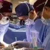 FDA Approves Genetically Modified Pig Organ Trials, Aiming to Address U.S. Organ Shortage