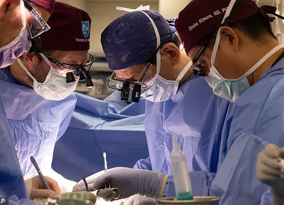 FDA Approves Genetically Modified Pig Organ Trials, Aiming to Address U.S. Organ Shortage