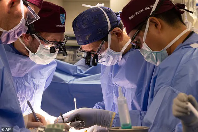 FDA Approves Genetically Modified Pig Organ Trials, Aiming to Address U.S. Organ Shortage