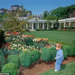 Privileged Insight: The Rare 2025 Oval Office Scene with Theo Kushner
