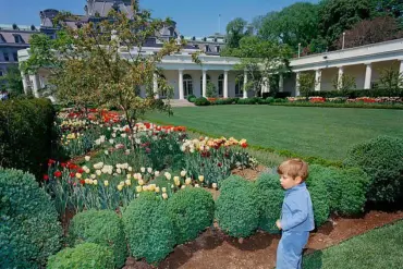 Privileged Insight: The Rare 2025 Oval Office Scene with Theo Kushner