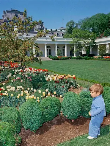 Privileged Insight: The Rare 2025 Oval Office Scene with Theo Kushner