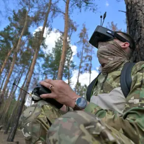 Russian Military's Adoption of Advanced FPV Drones Alters Conflict Dynamics, Sparking Analysts' Interest