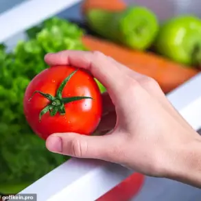 Silent Culprit: How Your Fridge Could Be Fueling the Global Food Waste Crisis