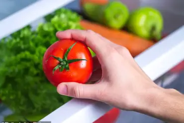 Silent Culprit: How Your Fridge Could Be Fueling the Global Food Waste Crisis