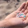 Study Links Microplastics to Alzheimer's Risk, According to University of Rhode Island Research