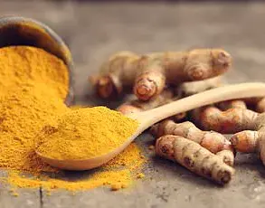 UK Study Suggests Prebiotic-Protein Combo Could Lower Dementia Risk in Seniors