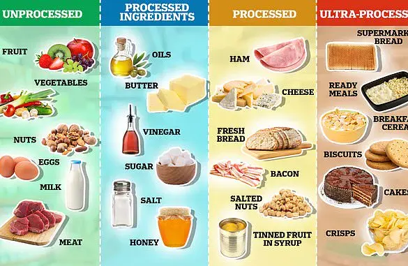 Urgent Warning: Additives in Ultra-Processed Foods Linked to Early Death, New Research Reveals